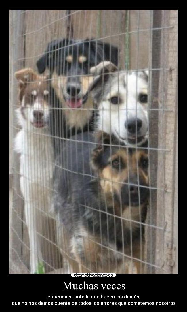 Muchas veces -