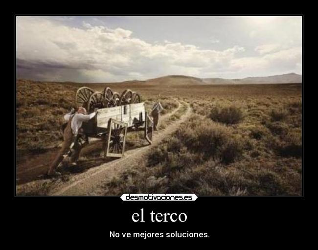 el terco -