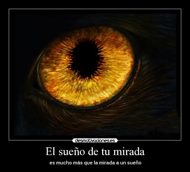 El sueño de tu mirada - es mucho más que la mirada a un sueño