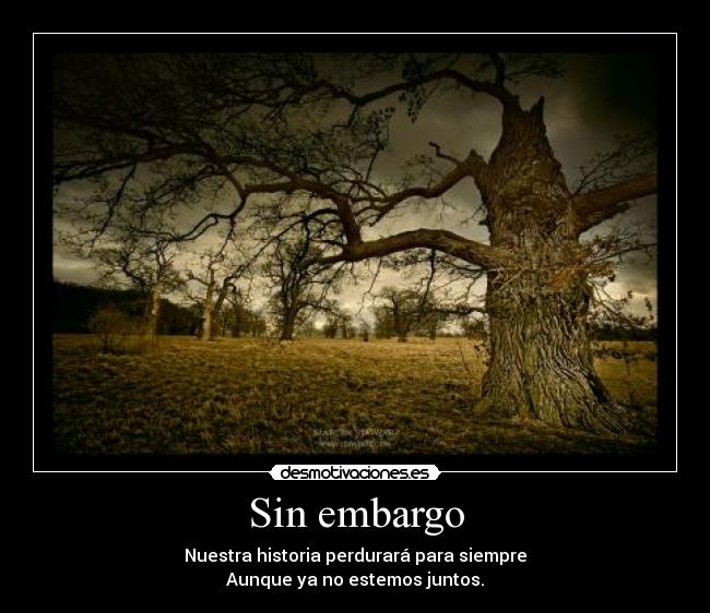 Sin embargo - Nuestra historia perdurará para siempre
Aunque ya no estemos juntos.