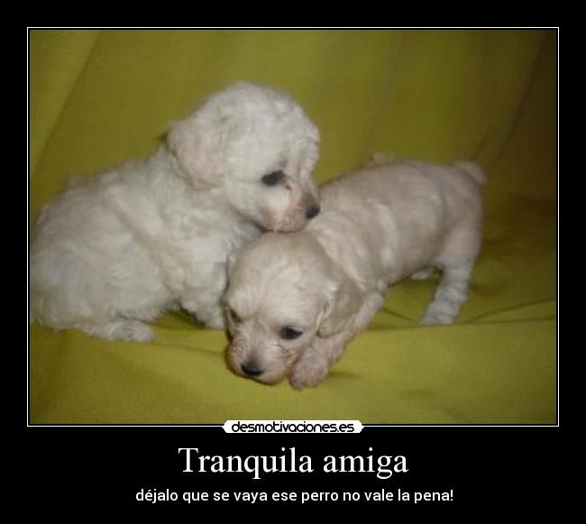 Tranquila amiga -