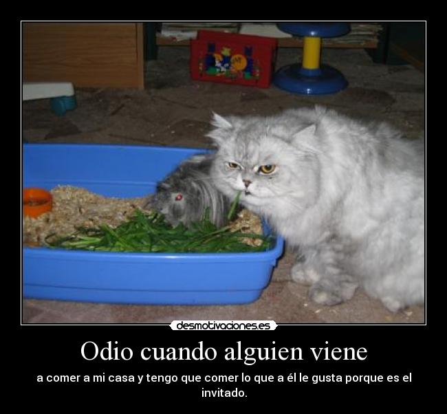 carteles odio papapitufo desmotivaciones