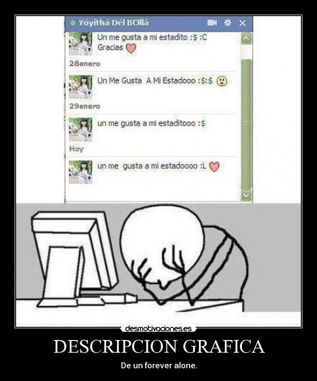 DESCRIPCION GRAFICA -