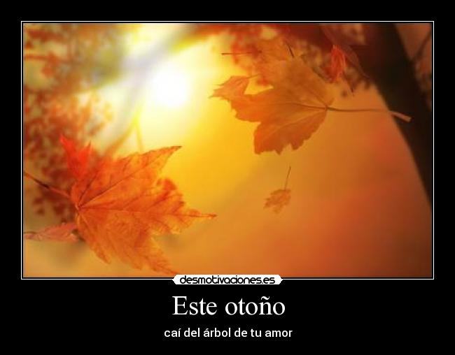 Este otoño - caí del árbol de tu amor