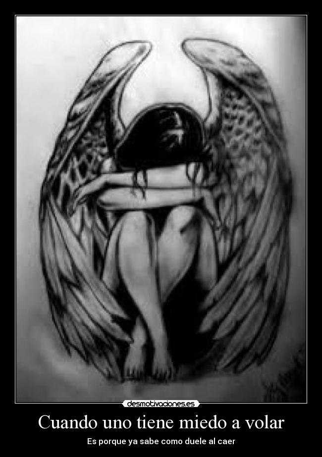 carteles miedo volar miedo caida dolor desmotivaciones