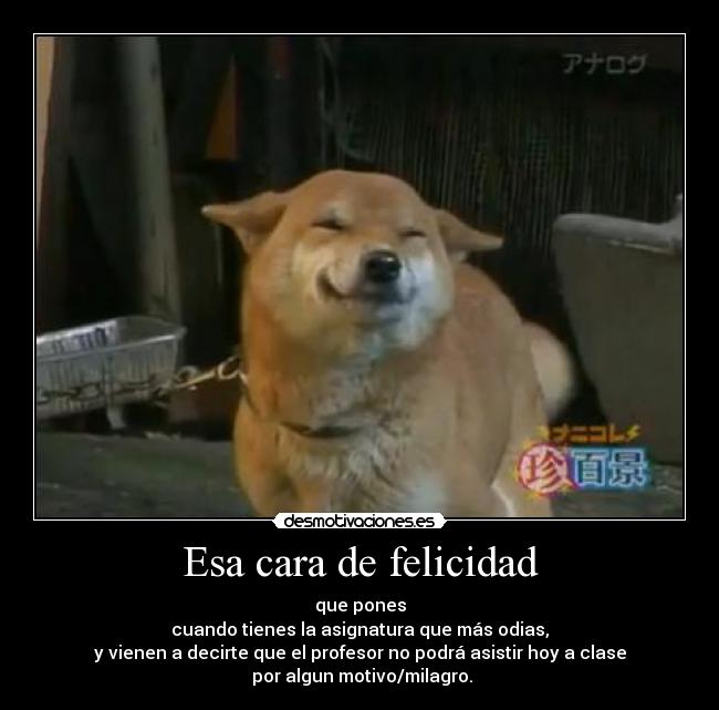 Esa cara de felicidad -