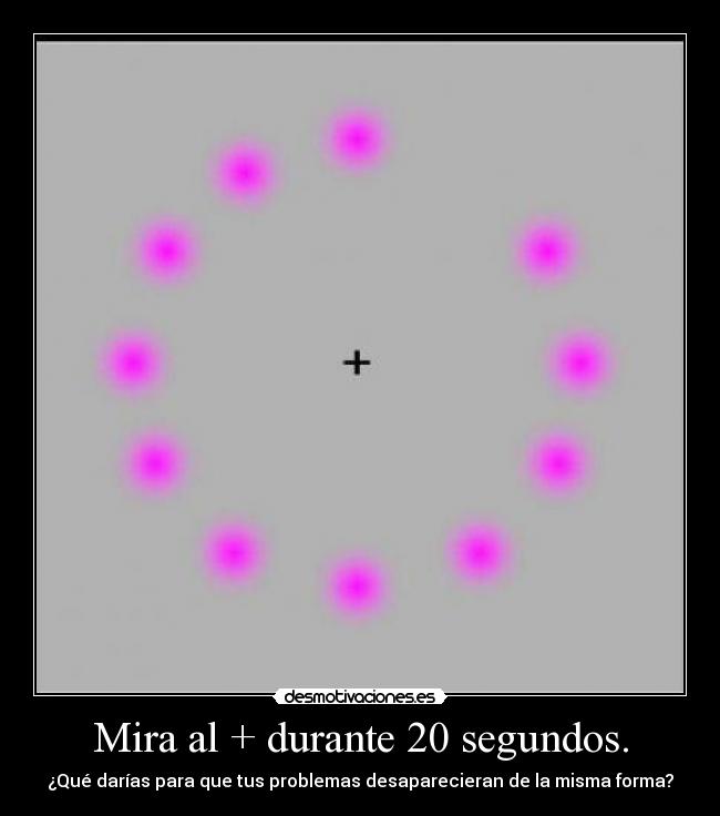 Mira al + durante 20 segundos. -
