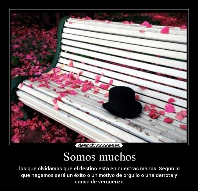 Somos muchos -