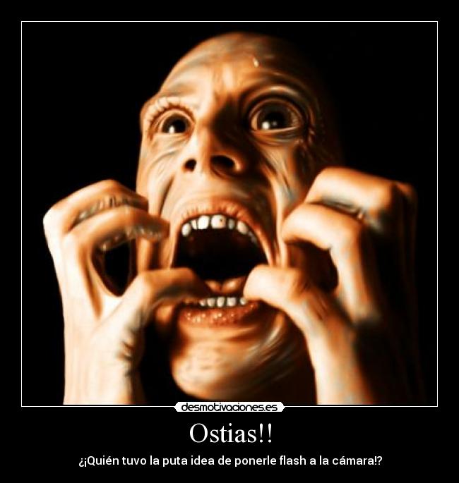 carteles flash camara ostias puta idea ponerle quien desmotivaciones