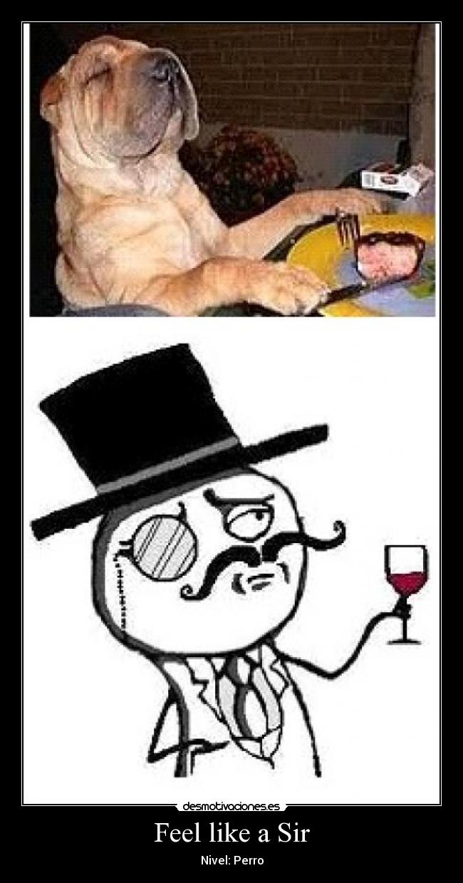 Feel like a Sir -