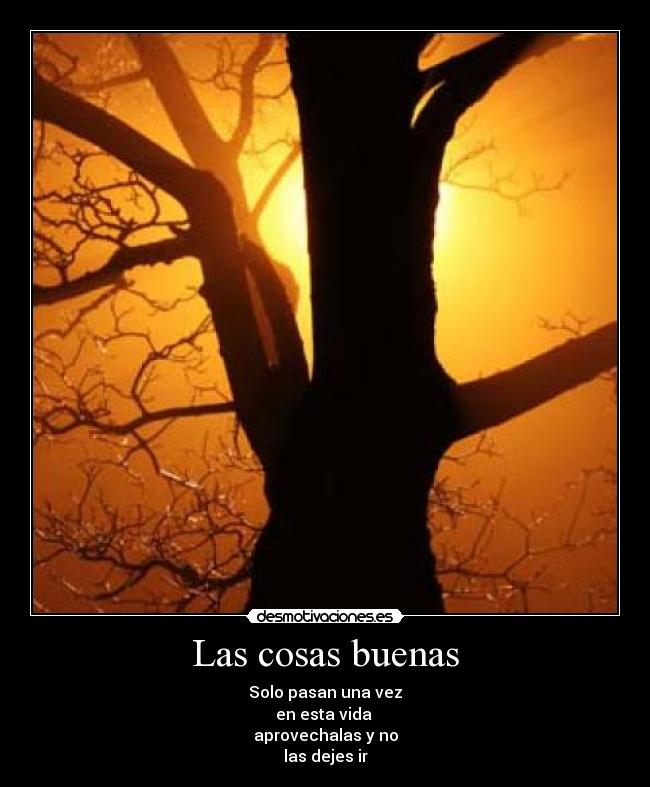 Las cosas buenas - Solo pasan una vez
en esta vida
aprovechalas y no
las dejes ir