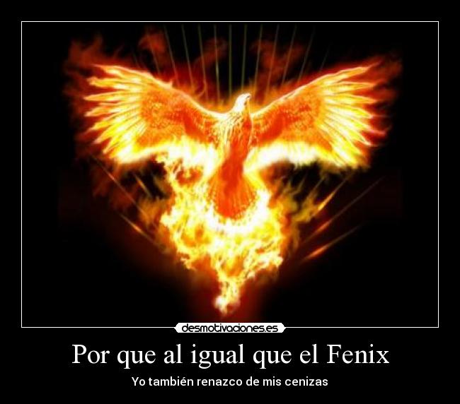 Por que al igual que el Fenix - Yo también renazco de mis cenizas