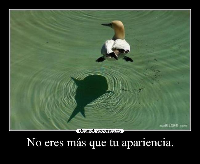 No eres más que tu apariencia. -