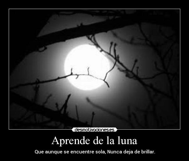 Aprende de la luna - Que aunque se encuentre sola, Nunca deja de brillar.