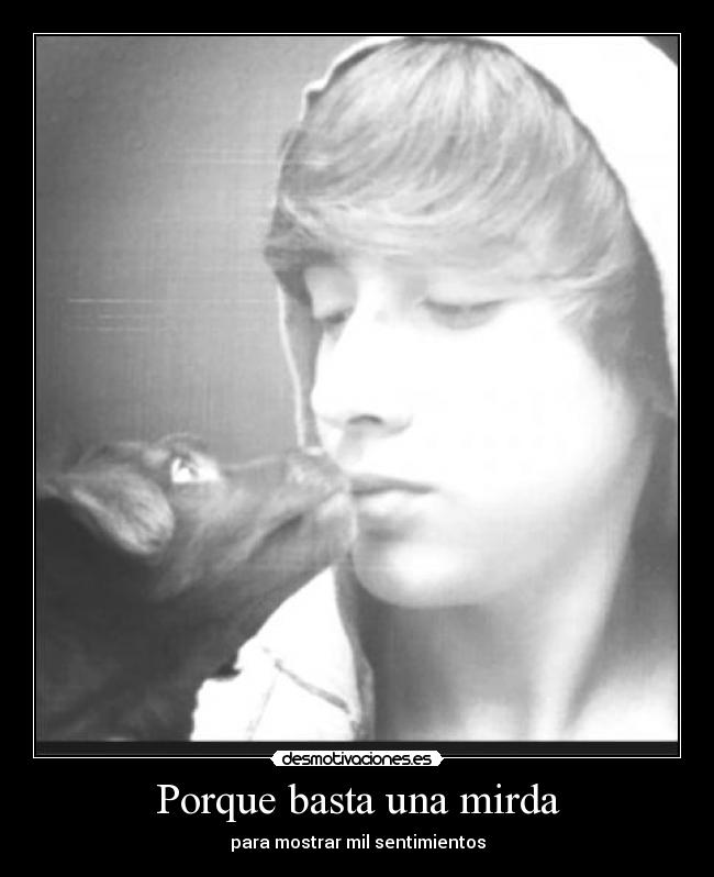 Porque basta una mirda -