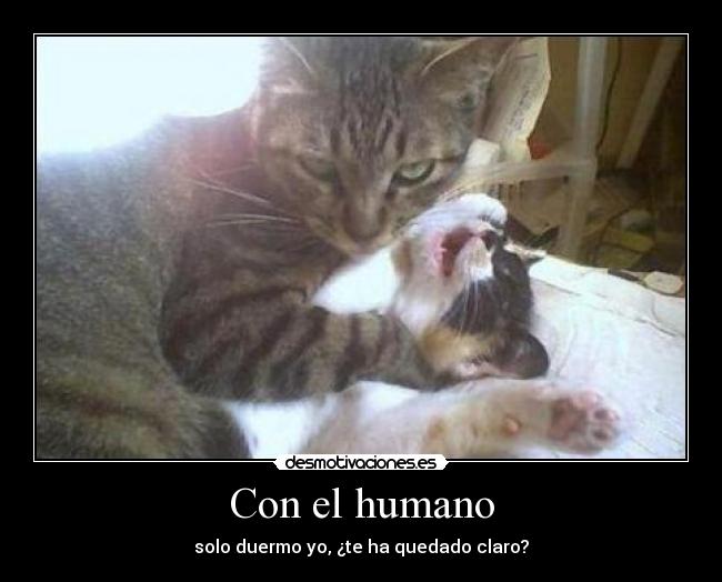 Con el humano -