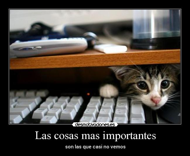 Las cosas mas importantes - 