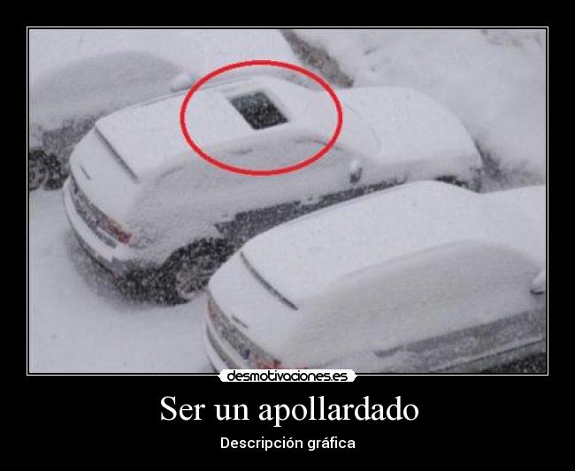 Ser un apollardado - Descripción gráfica