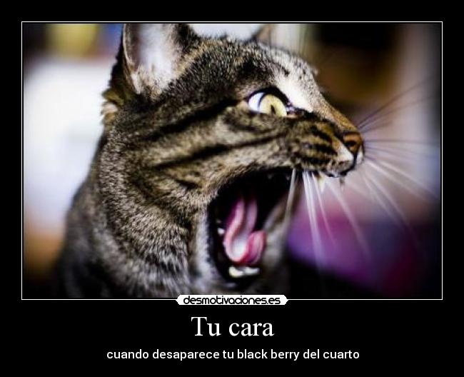 Tu cara - cuando desaparece tu black berry del cuarto