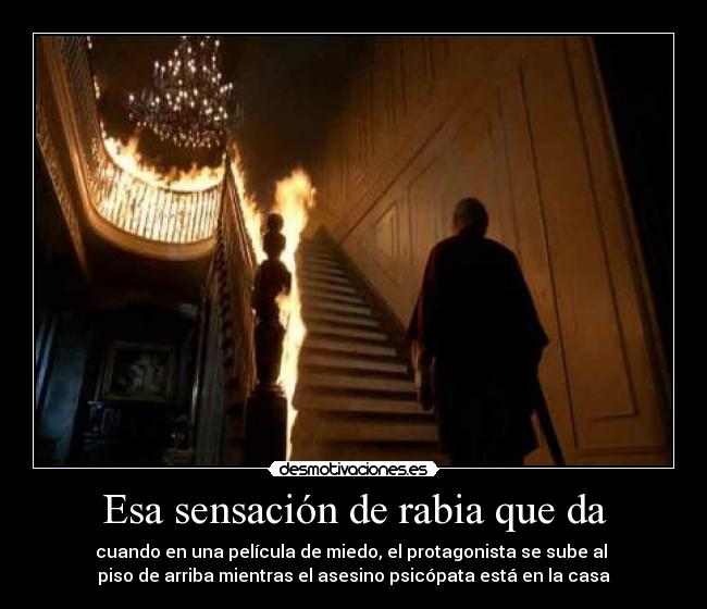 Esa sensación de rabia que da - cuando en una película de miedo, el protagonista se sube al 
piso de arriba mientras el asesino psicópata está en la casa