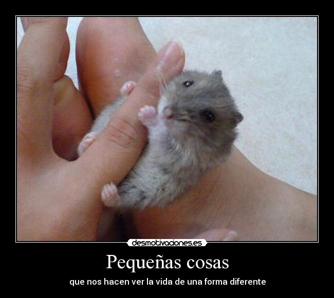 Pequeñas cosas - que nos hacen ver la vida de una forma diferente