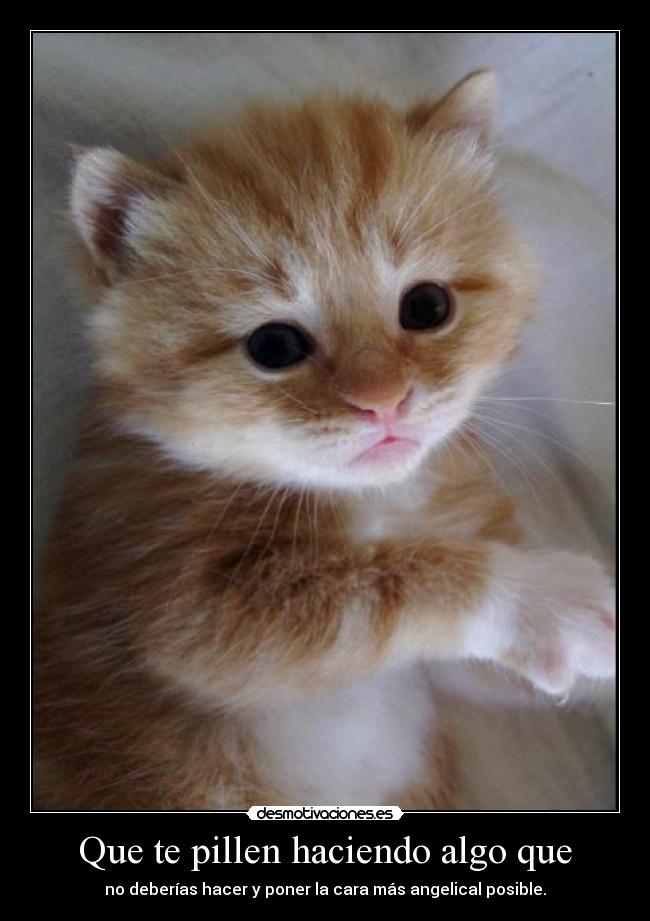 Que te pillen haciendo algo que - no deberías hacer y poner la cara más angelical posible.