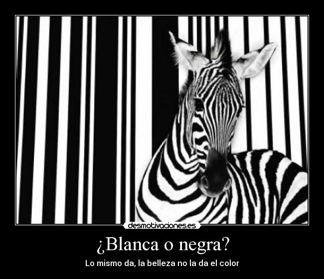 ¿Blanca o negra? - 