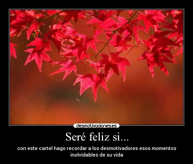 Seré feliz si... - 