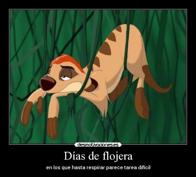 Días de flojera -