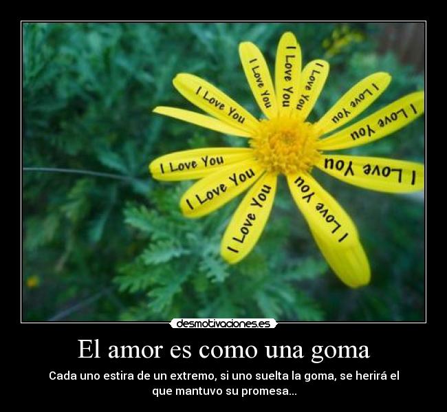 carteles amor gomita amor you know desmotivaciones