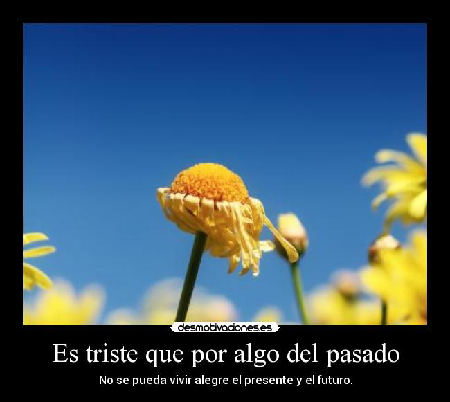 carteles pasado pasado tristeza futuro presente vivir desmotivaciones