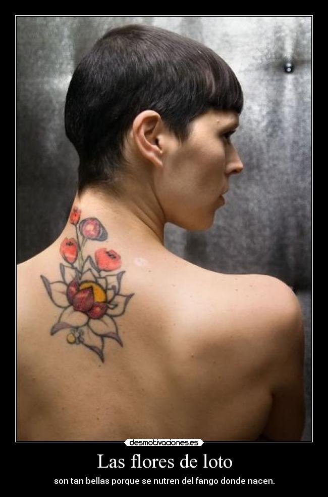 Las flores de loto -