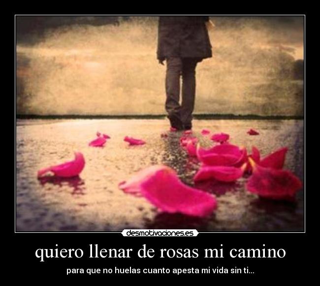 quiero llenar de rosas mi camino - para que no huelas cuanto apesta mi vida sin ti...
