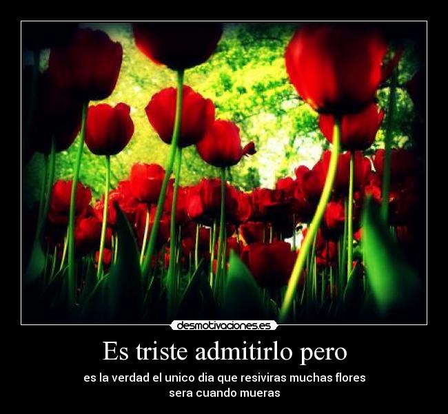 Es triste admitirlo pero - 