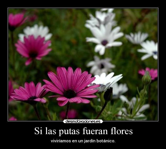 Si las putas fueran flores - viviríamos en un jardín botánico.