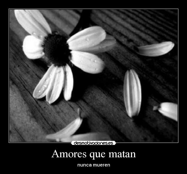 Amores que matan - nunca mueren