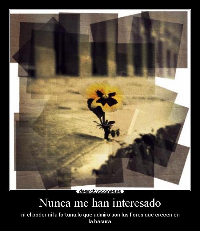 carteles que admiro son las flores que crecen entre basura desmotivaciones