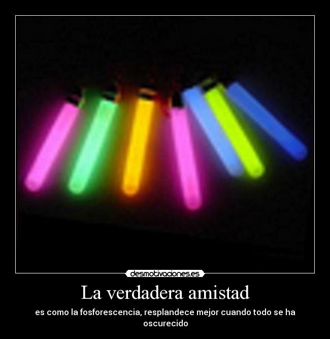 La verdadera amistad - 