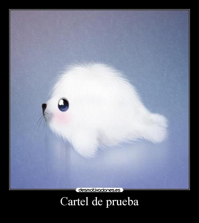 Cartel de prueba -