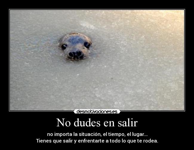 No dudes en salir - 