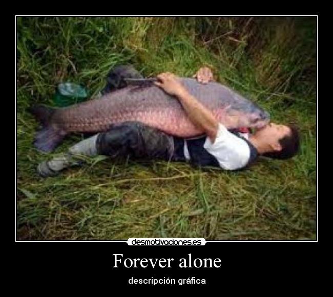 Forever alone - descripción gráfica