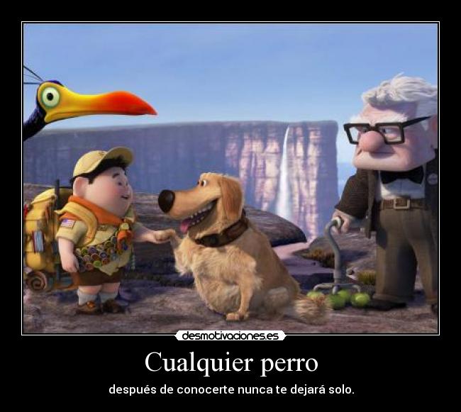 Cualquier perro - 