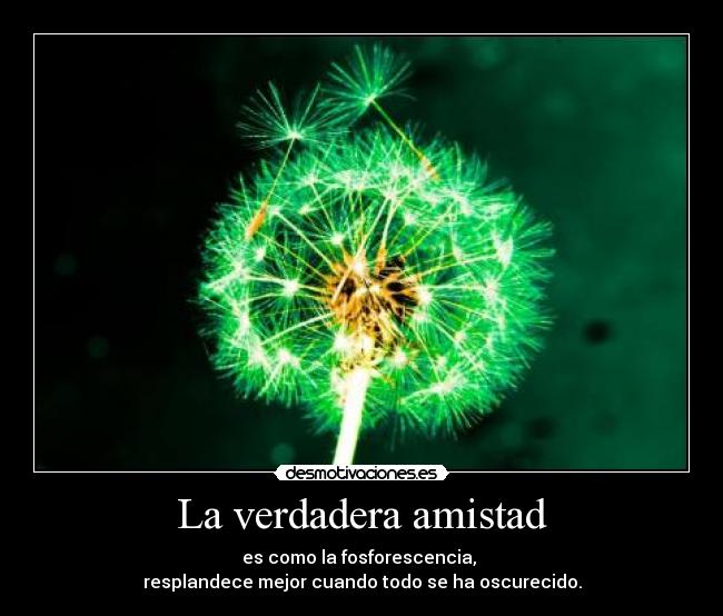 La verdadera amistad - es como la fosforescencia, 
resplandece mejor cuando todo se ha oscurecido.