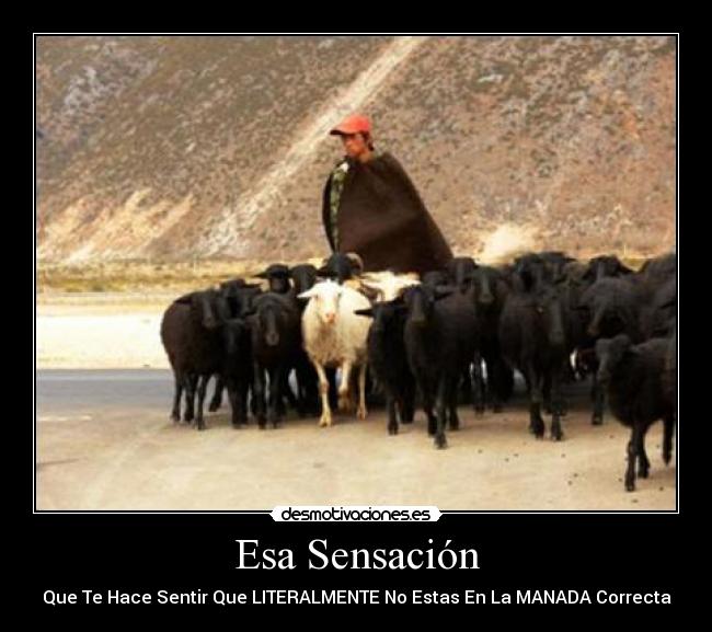 carteles esa sensacion desmotivaciones