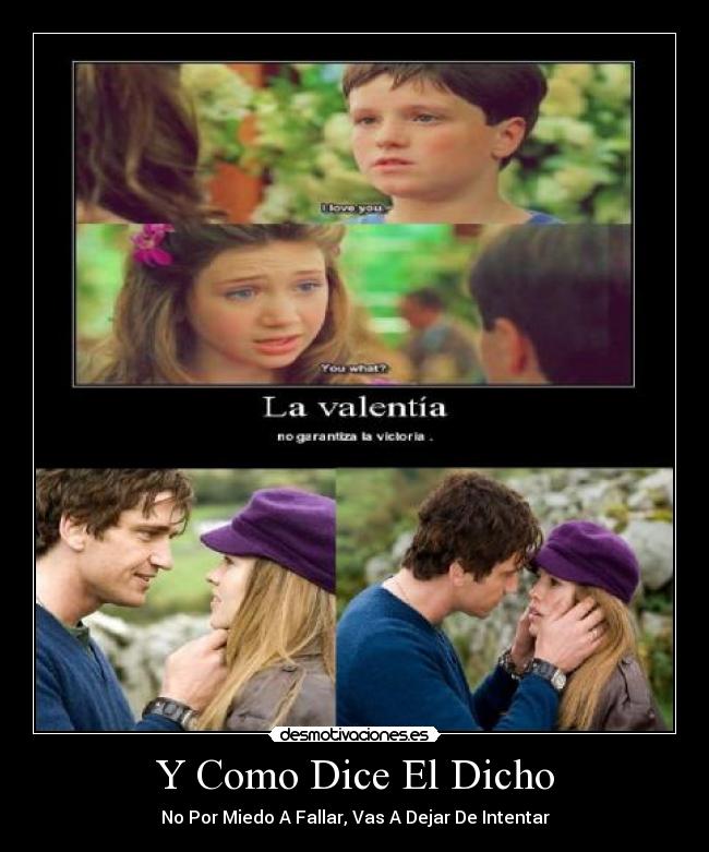 carteles dice dicho miedo fallar dejar intentar motiva amor desmotivaciones