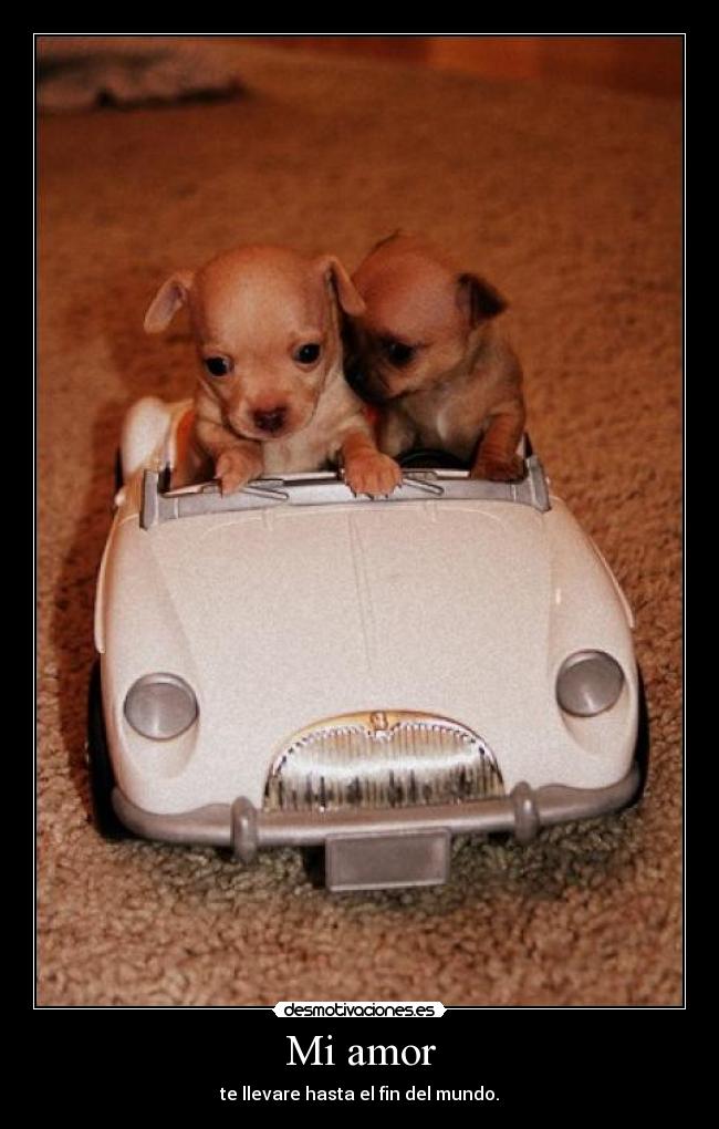Mi amor - te llevare hasta el fin del mundo.