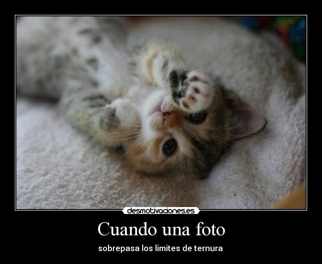 carteles ternura desmotivaciones