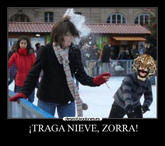 carteles tigretoneh clantigretoneh desollao desmotivaciones