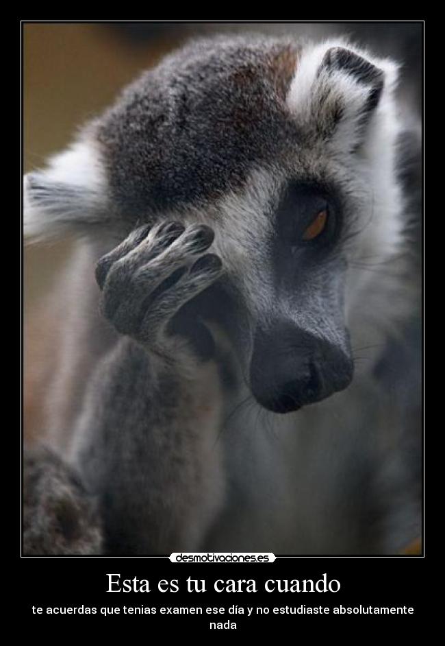 Esta es tu cara cuando - 