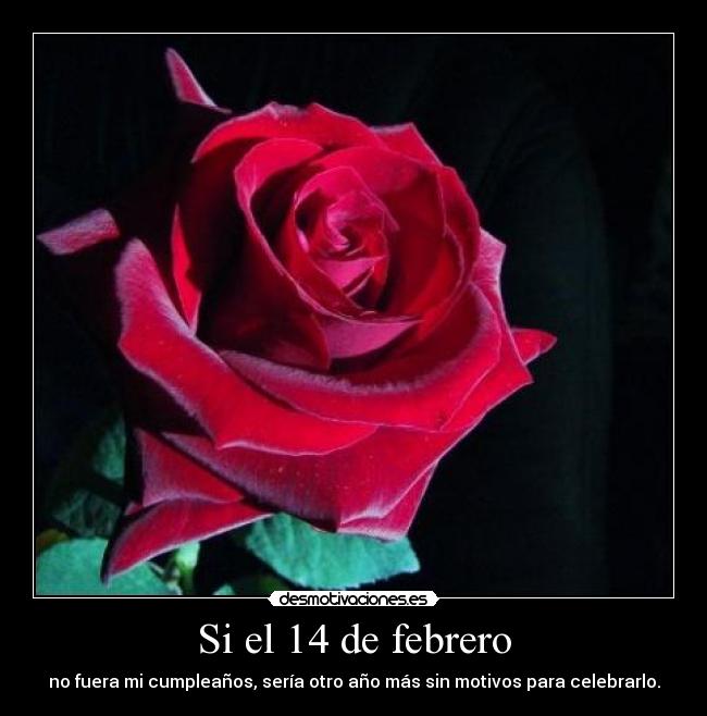 Si el 14 de febrero - no fuera mi cumpleaños, sería otro año más sin motivos para celebrarlo.